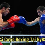 Cá Cược Boxing Tại By88
