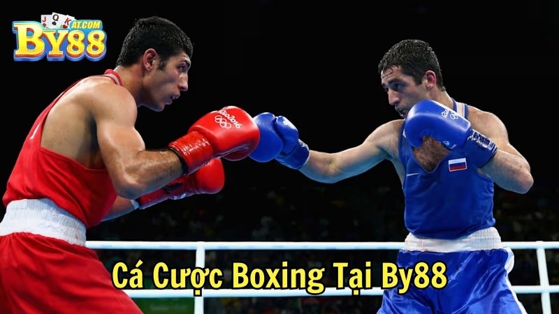 Cá Cược Boxing Tại By88