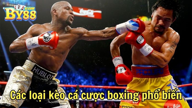 Các loại kèo cá cược boxing phổ biến by88