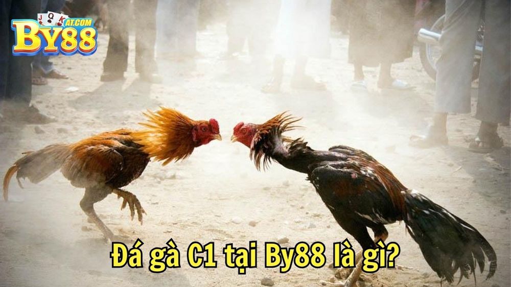Đá gà C1 tại By88 là gì?