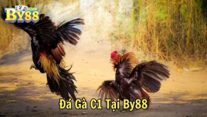 Đá Gà Cựa Dao Tại By88