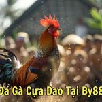 Đá Gà Cựa Dao Tại By88