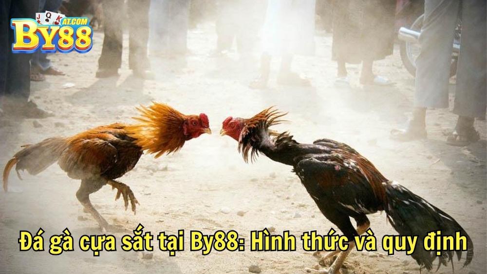 Đá gà cựa sắt tại By88: Hình thức và quy định
