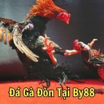 Đá Gà Đòn Tại By88: Hướng Dẫn Toàn Diện Cho Kê Thủ