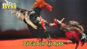 Đá Gà Cựa Dao Tại By88