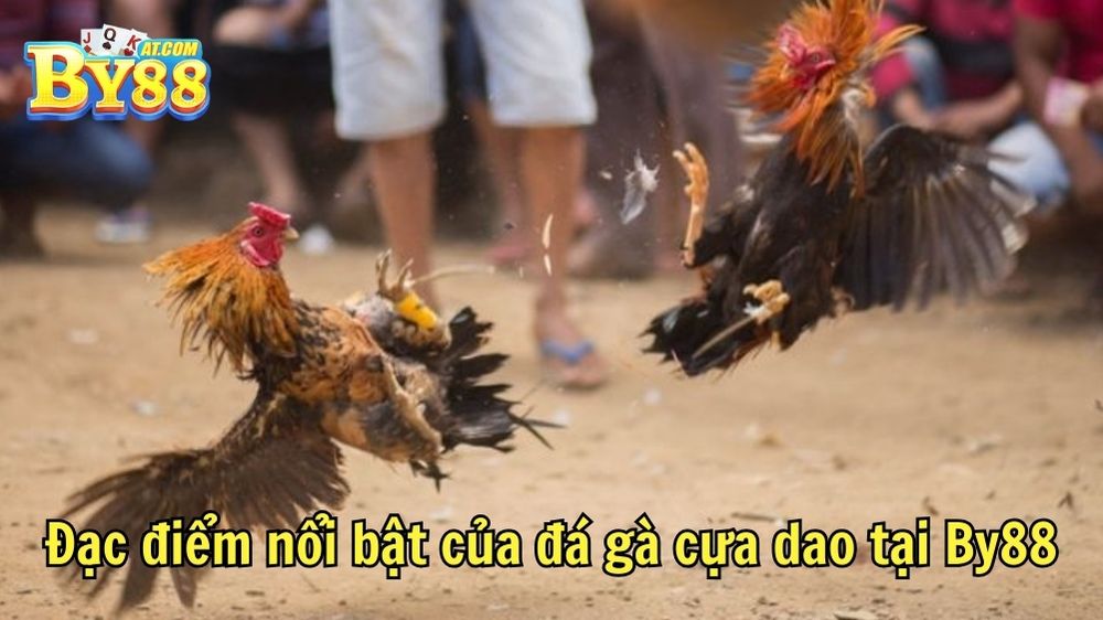 Đặc điểm nổi bật của đá gà cựa dao tại By88