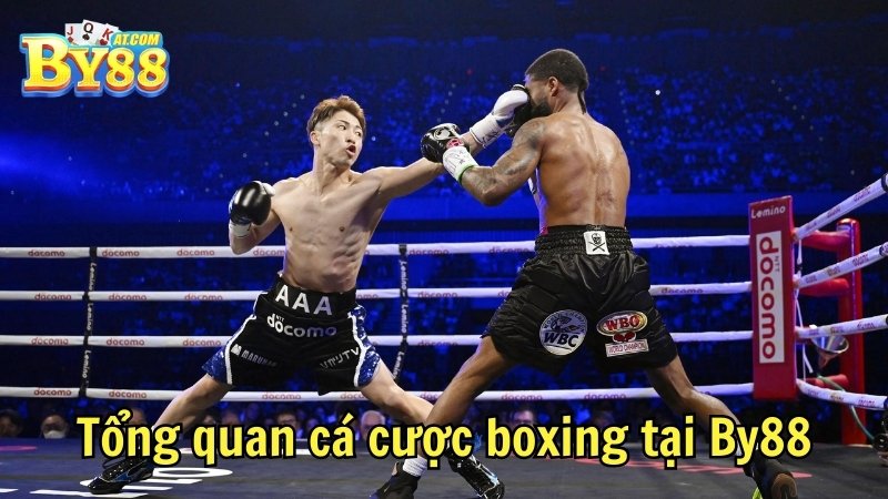 Tổng quan cá cược boxing tại By88
