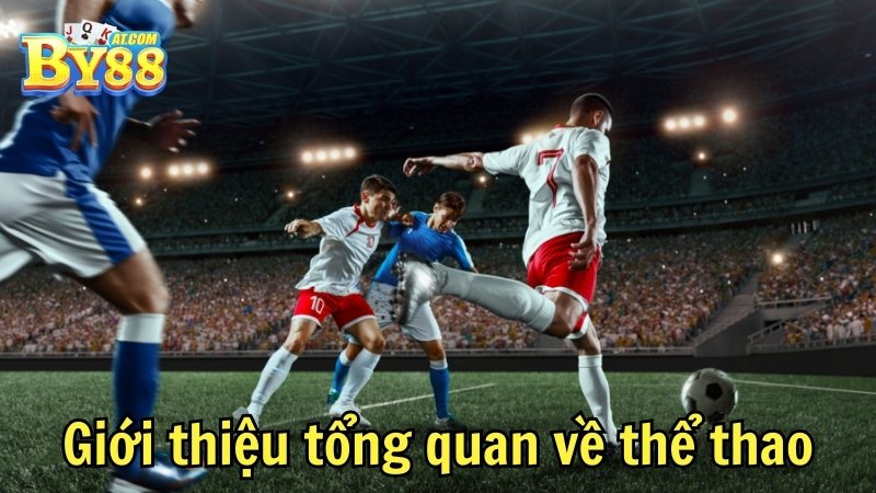 Giới thiệu tổng quan về thể thao By88